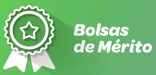 Bolsa de merito